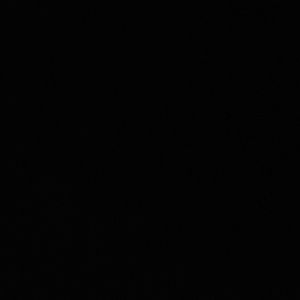 Meet your Posher, Ever